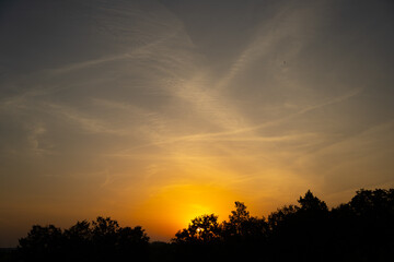 yellowish-pink morning sky with dark trees