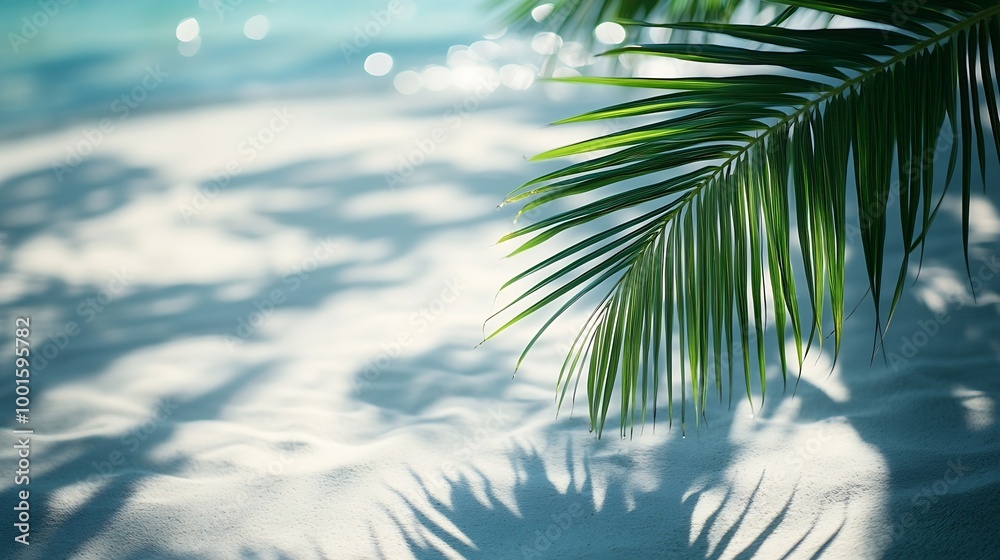 Aufkleber palm leaf shadow on abstract white sand beach background sun lights on water surface beautiful abstr
