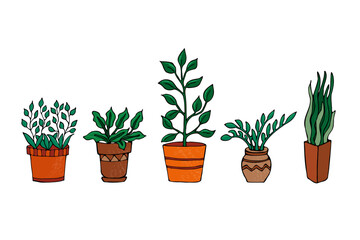 a set of colored indoor plants in pots, hand-drawn in a cartoon style.