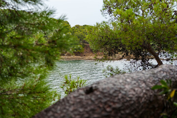 24.09.2024: Baie du Niel, Bucht der Halbinsel Giens,.Hyeres, Provence-Alpes-Côte d’Azur, Frankreich