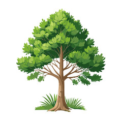 Pine tree vector art landscape illustration design