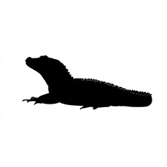 Obraz premium Alligator Silhouette, Illustration Isolated On White Background