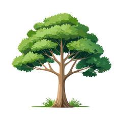 Pine tree vector art landscape illustration design
