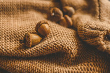 Close-up of acorns on a cozy knitted fabric background