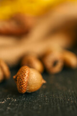 Cozy autumn photo, acorns, nuts, cinnamon
