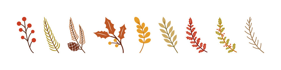 Autumn. Autumn leaves. Autumn Leaves with Branches. Tree Branches collection. Leaf