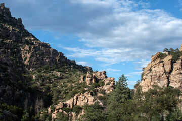 Fototapeta premium Forest mountain scenery