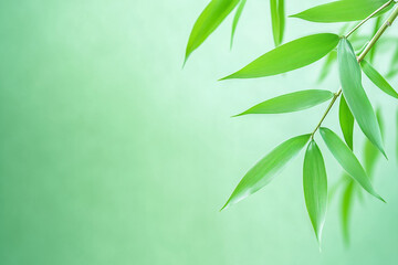 Lush green bamboo leaves against a soft pastel background in a tranquil natural setting