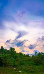 sunset over the field