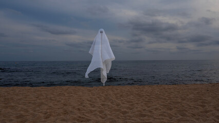 ghost floating on the shore of the beach where there are no people, floating white savannah, ghost...