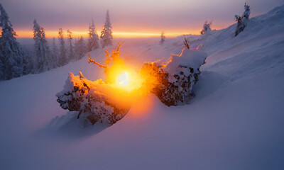 Travel Brochures and Nature Prints, Glowing Sunset Behind Snow-Covered Landscape with Frosted Trees and Fallen Branches, Winter, Cold, Sunrise, Snow, Scenic, Warm Light"