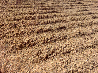 TEXTURA. FONDO DE ARENA. ABSTRACTO. 