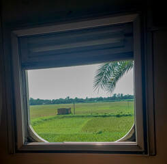 Amazing scenery of crop field outside the train in a sunny day