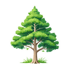Fototapeta premium Pine tree vector art landscape illustration design