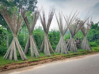 Jute stick are drying for firewood in road side in remote area
