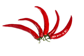 red hot chili peppers isolated on white background