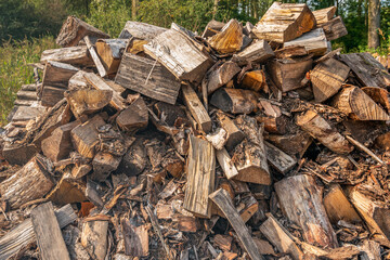 Large pile of split wood at the edge of a Dutch forest in the fall season waiting for transport.