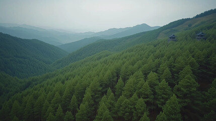 Fototapeta premium morning in the mountains