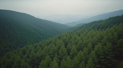 Obraz premium morning in the mountains