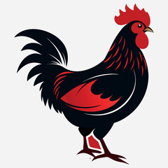 cock vector image illutration and art work