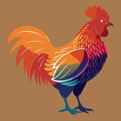 cock vector image illutration and art work