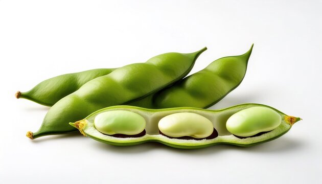 lima bean - Phaseolus lunatus - also known as butter, sieva, double or Madagascar bean, is a legume grown for its edible seeds. A good source of dietary fiber and fat free source. Isolated on white