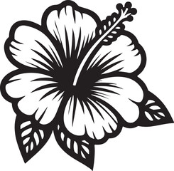 Silhouettes of hibiscus flower design vector art illustration