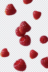 Falling Raspberry in mid air on a transparent background. AI generated