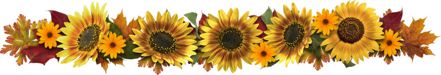 sunflower decorative composition
