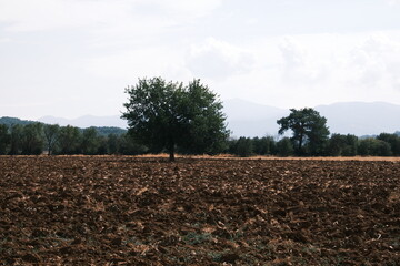 Farm field ready for agriculture 