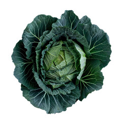 Obraz premium This image showcases a fresh green cabbage with intricate leaf patterns, isolated on a white background, emphasizing its vibrant color and texture