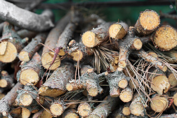 firewood in the yard, a stack of neatly chopped firewood