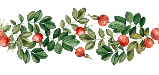 Rose hips seamless horizontal watercolor pattern on white background. Ornament with branch, red berries and briar leaves. For label and packaging design of medicinal tea, cosmetics. For fabric design