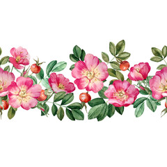 Rosehip seamless horizontal watercolor pattern on white background. Ornament with pink flowers, red berries and wild rose leaves. Label and packaging design of medicinal tea, cosmetics. Fabric design