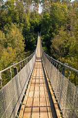 Obraz premium Hohe Schrecke suspension rope bridge near Braunslage in Thuringia