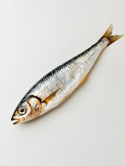 Fototapeta premium Whole Anchovy Fish on White Background