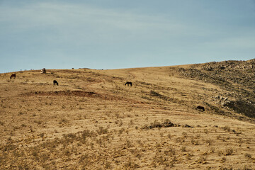 photography of mountainous landscapes in autumn