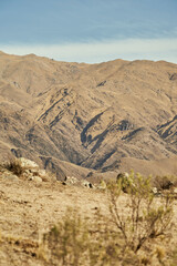 photography of mountainous landscapes in autumn