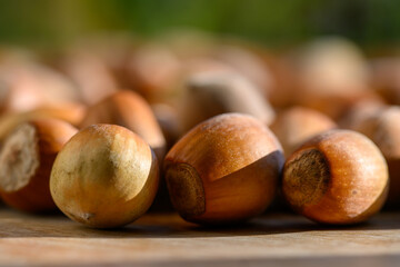 Hazelnuts have a pleasantly sweet taste and come from the hazel tree.