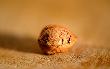 Hazelnuts have a pleasantly sweet taste and come from the hazel tree.