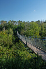 Hohe Schrecke suspension rope bridge near Braunslage in Thuringia