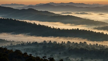 Misty mountain ranges at sunrise, showcasing nature's beauty.