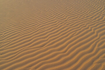 Obraz premium Rippling patterns of golden sand dunes in the Sahara Desert reflect the vibrant beauty of Mauretania's natural landscape