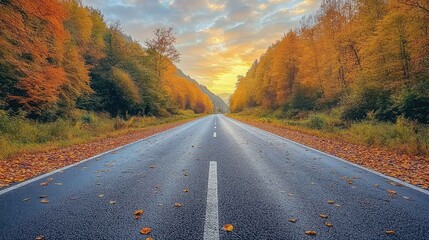 Fototapeta premium A long, straight asphalt road leads through a colorful autumn forest, with fallen leaves scattered on the road and the sunrise in the background.
