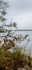 reflection in water
