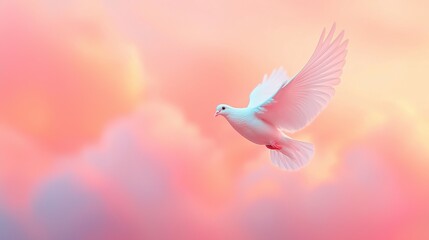 A white dove soars through a vibrant pink and orange sky, its wings outstretched.