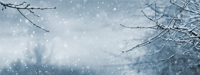 winter atmospheric view with snow-covered trees in the garden during snowfall