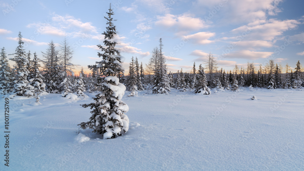 Poster a snow covered forest with a lone tree standing in the middle. the sky is cloudy and the sun is sett