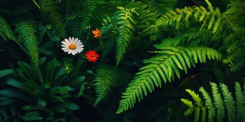 Vibrant Wildflowers Among Lush Greenery