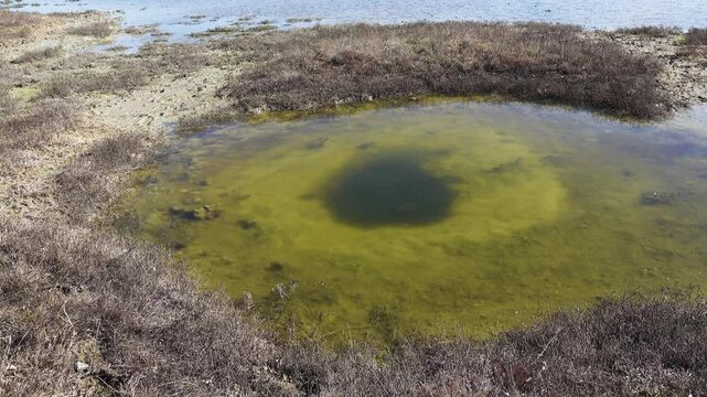 Traces of the war. The old bomb crater is filled with water and there is a sinkhole in the center